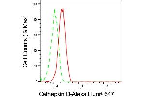 Flow cytometric analysis of Cathepsin D expression in HT- cells using Cathepsin D antibody (ABIN7797938), 1:2,000). (Rekombinanter Cathepsin D Antikörper)