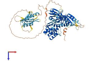 AlphaFold protein structure predicition of Human Recombinant PUS7L Protein, UniprotID Q9H0K6
