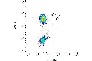 Flow cytometry analysis (surface staining) of human peripheral blood lymphocytes with anti-human TCR gamma/delta (B1) FITC. (TCR gamma/delta Antikörper  (FITC))