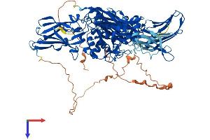 TGM1 Protein (AA 1-817) (His tag)