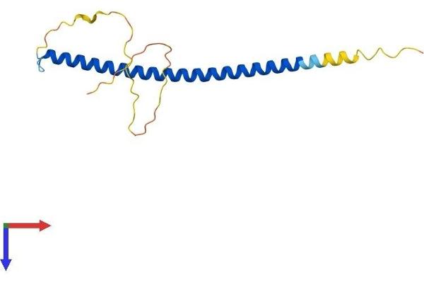 CEBPG Protein (AA 1-150) (His tag)