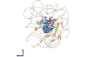 Protein Structure (PS) image for Autophagy/beclin-1 Regulator 1 (AMBRA1) (AA 1-1300) protein (His tag) (ABIN7561910)