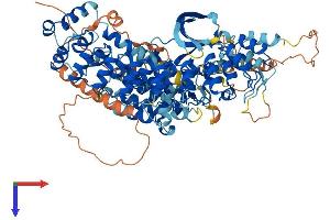 TNNI3K Protein (AA 1-835) (His tag)