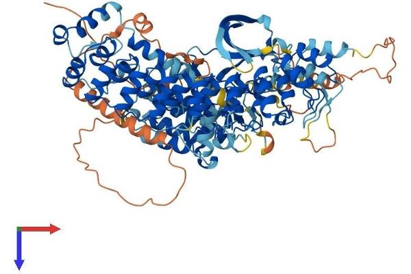 TNNI3K Protein (AA 1-835) (His tag)
