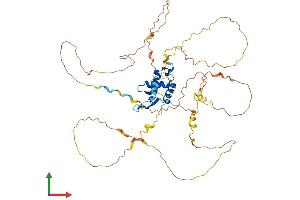 Protein Structure (PS) image for Forkhead Box C2 (MFH-1, Mesenchyme Forkhead 1) (FOXC2) (AA 1-494) protein (His tag) (ABIN7557742)