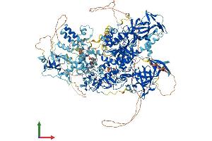 Protein Structure (PS) image for DNA (Cytosine-5)-Methyltransferase 1 (DNMT1) (AA 1-1620) protein (His tag) (ABIN7562865)