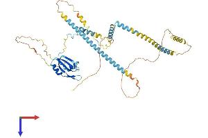 UPF3B Protein (AA 1-483) (His tag)