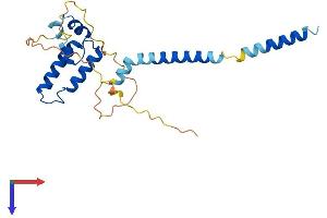 DNAJC30 Protein (AA 1-219) (His tag)