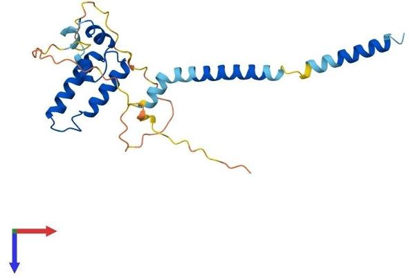 DNAJC30 Protein (AA 1-219) (His tag)