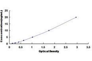 Tropomyosin-2 (TPM2) ELISA Kit