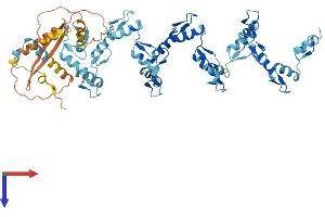 AlphaFold protein structure predicition of Human Recombinant ZNF571 Protein, UniprotID Q7Z3V5