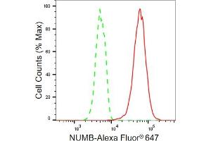 Flow cytometric analysis of NUMB expression in HT- cells using NUMB antibody (ABIN7799692), 1:2,000). (Rekombinanter NUMB Antikörper)