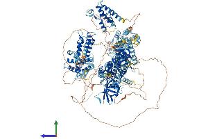 Protein Structure (PS) image for Polybromo 1 (PBRM1) (AA 1-1634) protein (His tag) (ABIN7564419)