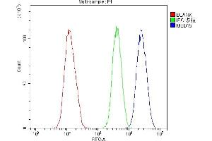 Flow Cytometry analysis of U20S cells using anti-MED15 antibody (ABIN5519035). (MED15 Antikörper  (AA 1-285))