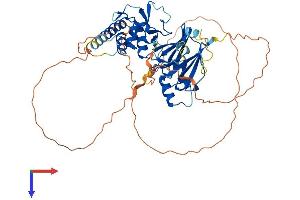 SMAD6 Protein (AA 1-496) (His tag)