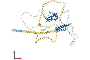 Protein Structure (PS) image for Cleavage and Polyadenylation Specific Factor 6, 68kDa (CPSF6) (AA 1-551) protein (His tag) (ABIN7557959)