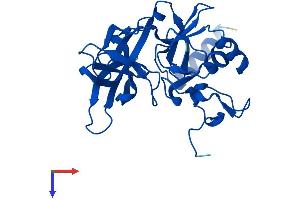 RPS4Y1 Protein (AA 1-263) (His tag)