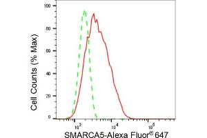 Flow cytometric analysis of SMARCA5 expression in C2C12 cells using SMARCA5 antibody (ABIN7800477), 1:(ABIN7798691).