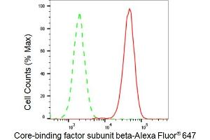 Flow cytometric analysis of Core-binding factor subunit beta expression in HAP-1 cells using Core-binding factor subunit beta antibody (ABIN7798155), 1:2,000). (Rekombinanter CBFB Antikörper)
