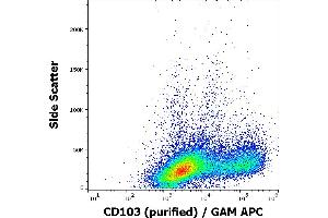 Flow cytometry surface staining pattern of human PHA stimulated peripheral blood mononuclear cells stained using anti-human CD103 (Ber-ACT8) purified antibody (concentration in sample 3 μg/mL, GAM APC). (CD103 Antikörper)