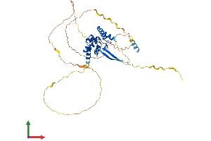 Protein Structure (PS) image for AT Rich Interactive Domain 3C (BRIGHT-Like) (ARID3C) (AA 1-409) protein (His tag) (ABIN7562013)