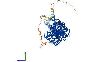 Protein Structure (PS) image for Protein Phosphatase 2, Regulatory Subunit B', beta (PPP2R5B) (AA 1-497) protein (His tag) (ABIN7551809)