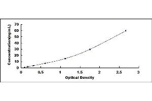 Typical standard curve (METRNL ELISA Kit)