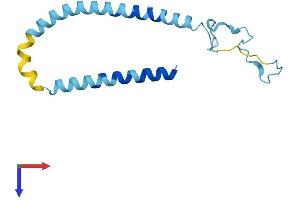 SNCA Protein (AA 1-140) (His tag)