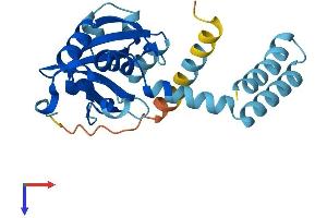 LRAT Protein (AA 1-230) (His tag)