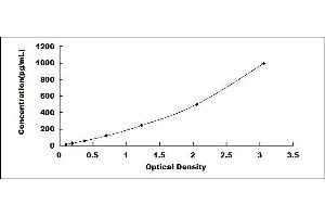 Typical standard curve (Iba1 ELISA Kit)