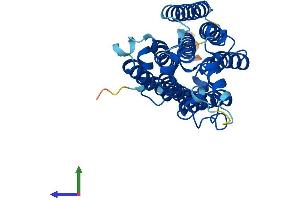 AlphaFold protein structure predicition of Mouse Recombinant Paqr6 Protein, UniprotID Q6TCG5 (PAQR6 Protein (AA 1-343) (His tag))