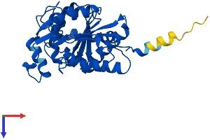 GNPDA1 Protein (AA 1-289) (His tag)