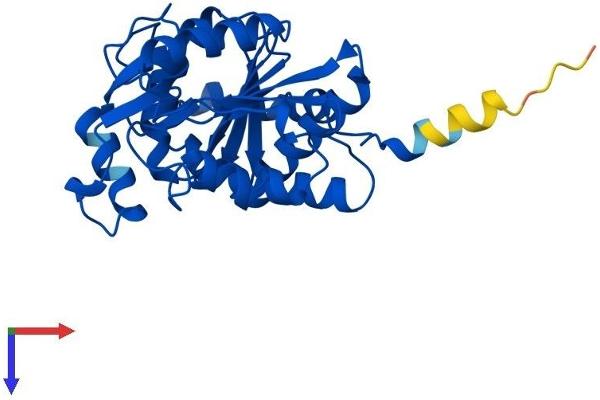 GNPDA1 Protein (AA 1-289) (His tag)