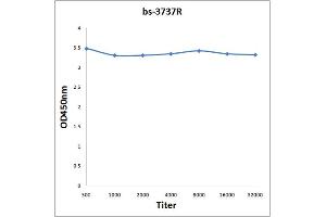 Antigen: 0. (PPARG Antikörper  (pSer112))