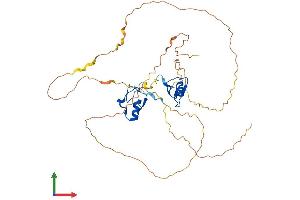 AlphaFold protein structure predicition of Human Recombinant GATA5 Protein, UniprotID Q9BWX5