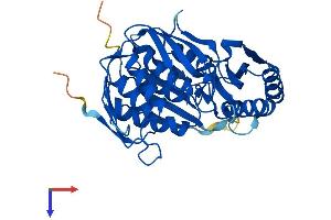 RCL1 Protein (AA 1-373) (His tag)