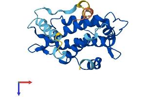 MOBKL2A Protein (AA 1-217) (His tag)