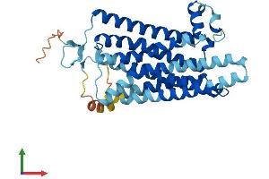 Protein Structure (PS) image for Trace Amine Associated Receptor 5 (TAAR5) (AA 1-337) protein (His tag) (ABIN7544154)