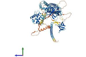Protein Structure (PS) image for rho Guanine Nucleotide Exchange Factor (GEF) 6 (ARHGEF6) (AA 1-776) protein (His tag) (ABIN7552237)