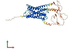 Protein Structure (PS) image for Adrenoceptor alpha 1A (ADRA1A) (AA 1-466) protein (His tag) (ABIN7551979)
