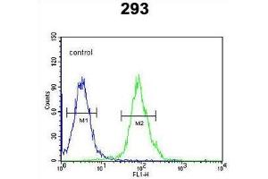 TPH2 Antibody (Center) flow cytometric analysis of 293 cells (right histogram) compared to a negative control cell (left histogram). (Tryptophan Hydroxylase 2 Antikörper  (Middle Region))