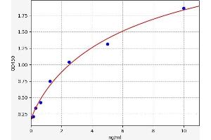 Typical standard curve (Heme Oxygenase ELISA Kit)
