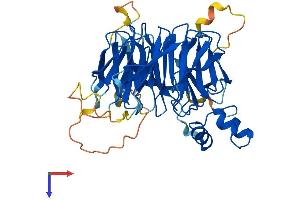 WSB2 Protein (AA 1-404) (His tag)