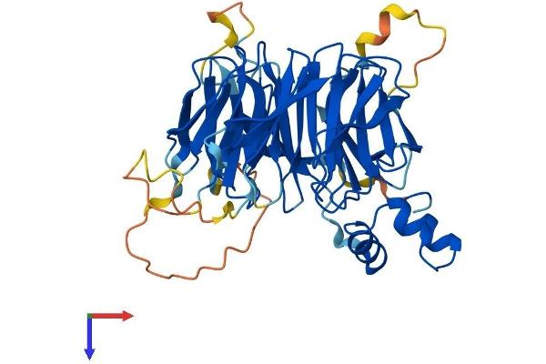 WSB2 Protein (AA 1-404) (His tag)