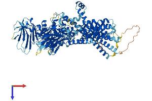 PGAP1 Protein (AA 1-922) (His tag)