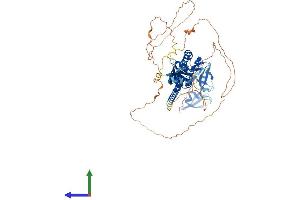 Protein Structure (PS) image for Fragile X Mental Retardation, Autosomal Homolog 2 (FXR2) (AA 1-673) protein (His tag) (ABIN7556334)