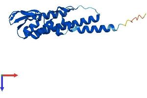 GINS2 Protein (AA 1-185) (His tag)