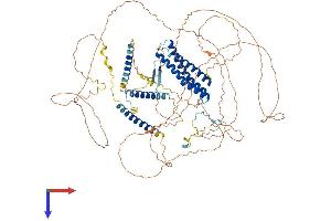 DLGAP5 Protein (AA 1-846) (His tag)
