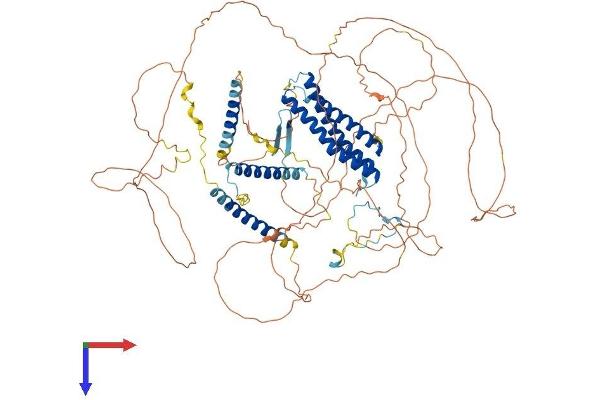 DLGAP5 Protein (AA 1-846) (His tag)