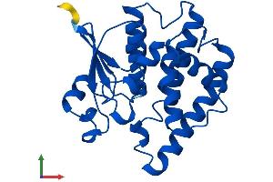 Protein Structure (PS) image for Glutathione Transferase zeta 1 (Maleylacetoacetate Isomerase) (GSTZ1) (AA 1-216) protein (His tag) (ABIN7556327)